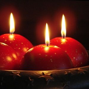 Meet your Posher, Darlene